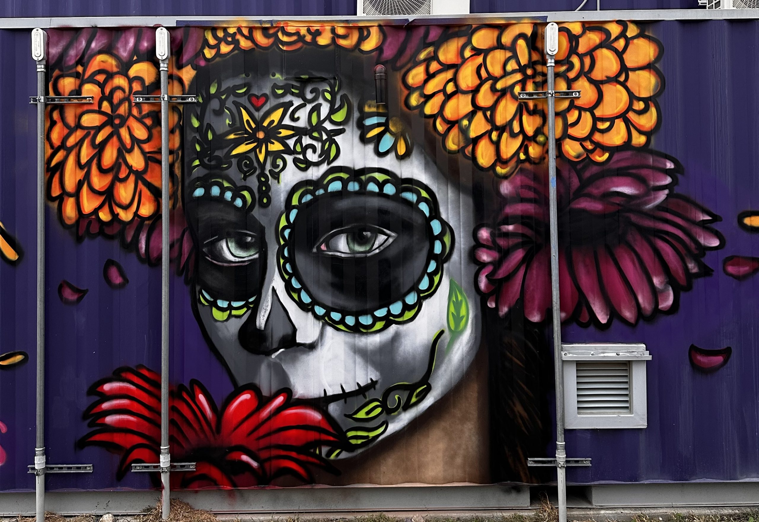 Local artist Christopher Sandoval recently completed two murals at the Fort Worth Design District. Shown is his mural paying homage to Dia de los Muertes.